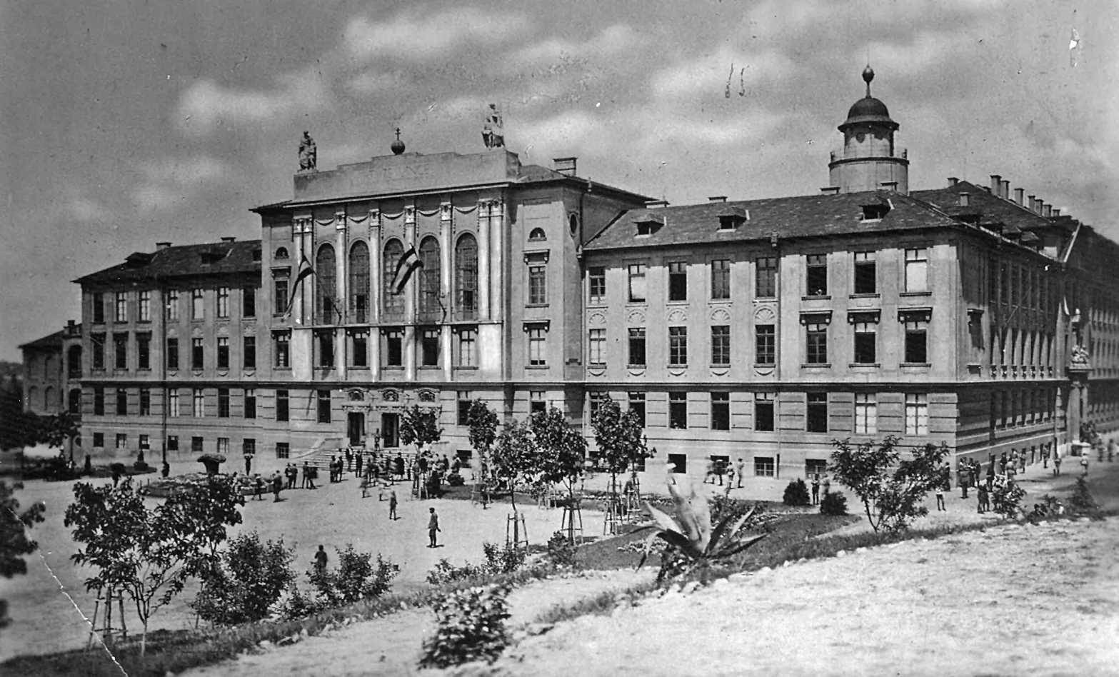 A növényzet segített behatárolni az egykori helyszínt