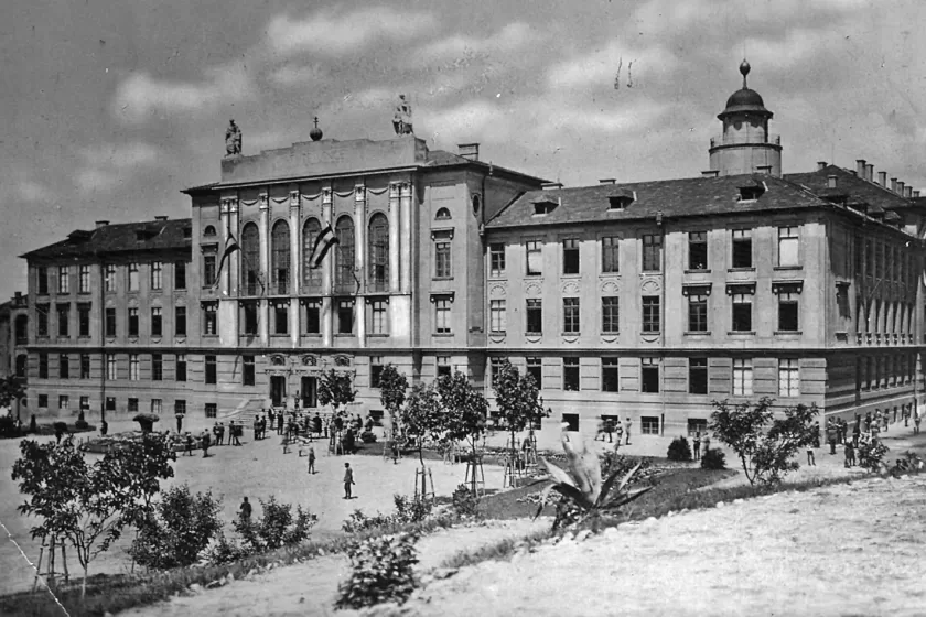 A növényzet segített behatárolni az egykori helyszínt